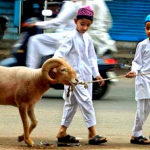 MUI Keluarkan Fatwa Shalat Idul Adha dan Sembelih Hewan Kurban di Tengah Pandemi
